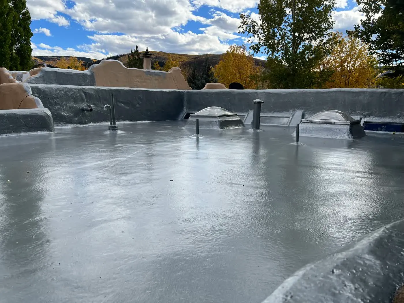 Roof Waterproofing